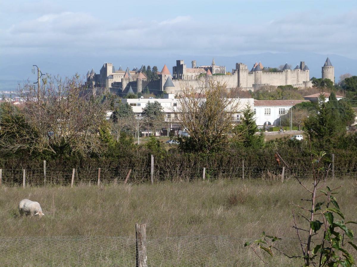 Gite Des Figuiers Carcassonne Dış mekan fotoğraf