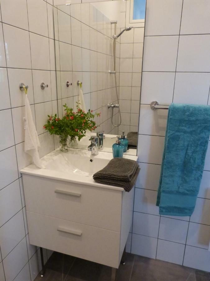 Gite Des Figuiers Carcassonne Dış mekan fotoğraf