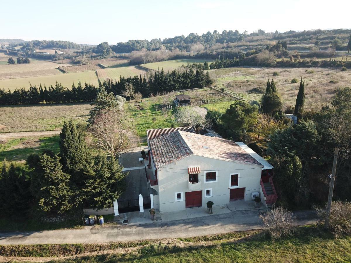 Gite Des Figuiers Carcassonne Dış mekan fotoğraf